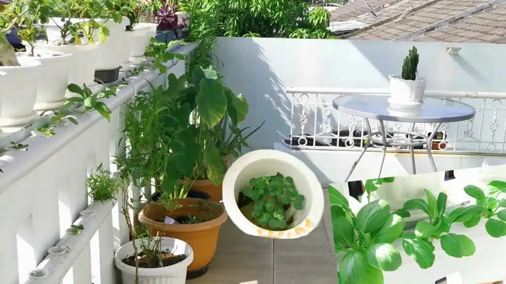 Kos Ramah Lingkungan